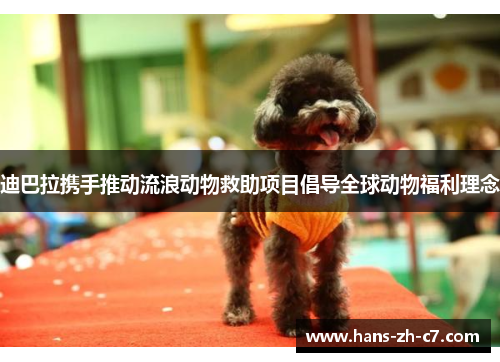 迪巴拉携手推动流浪动物救助项目倡导全球动物福利理念 迪巴拉携手推动流浪动物救助项目倡导全球动物福利理念