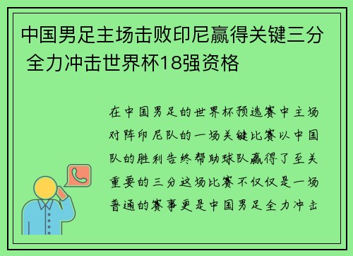 中国男足主场击败印尼赢得关键三分 全力冲击世界杯18强资格